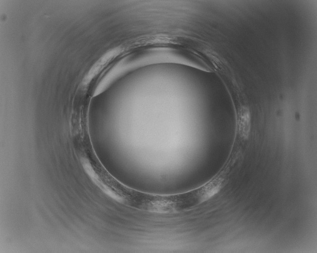 X0000052940158200507081153