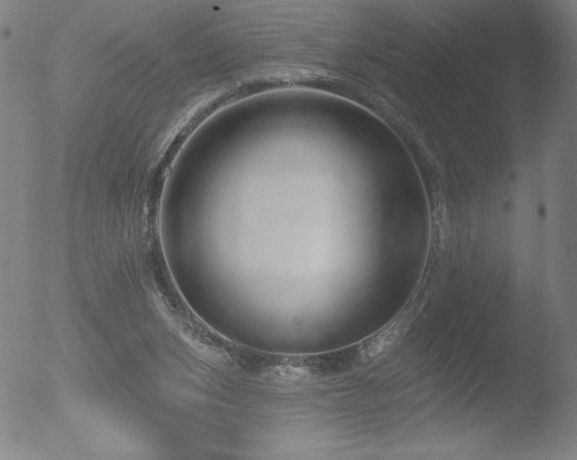 X0000052940159200507081153