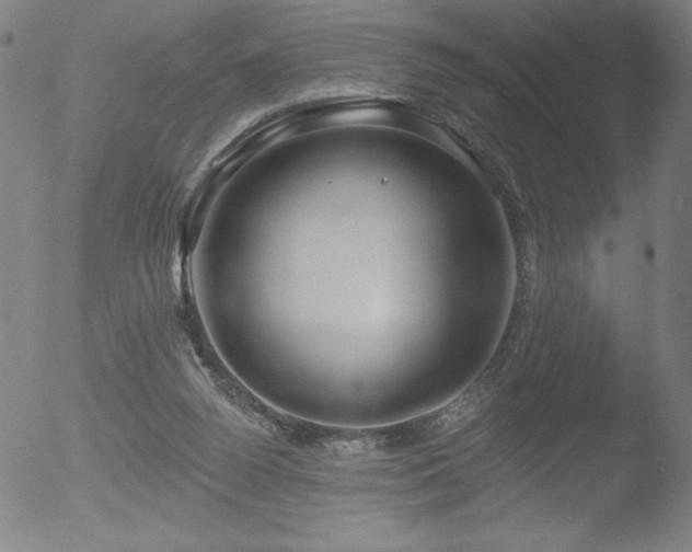 X0000052940160200507081153