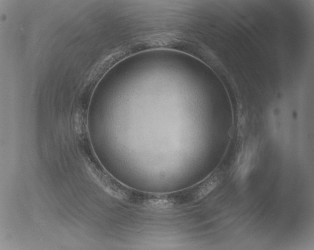 X0000052940161200507081153