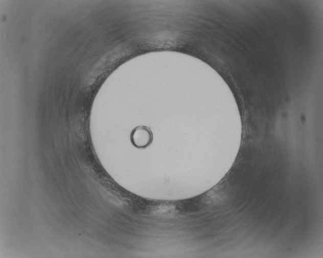 X0000052940162200507081153