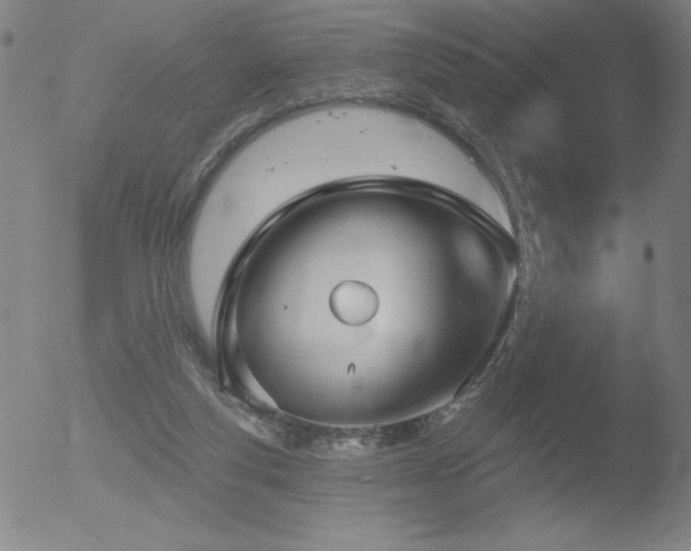 X0000052940163200507081153