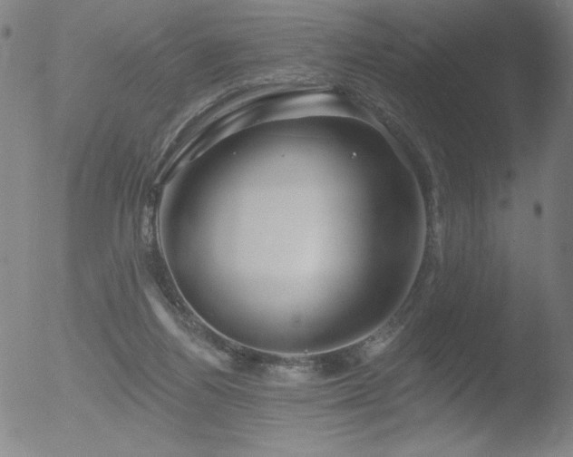 X0000052940164200507081153