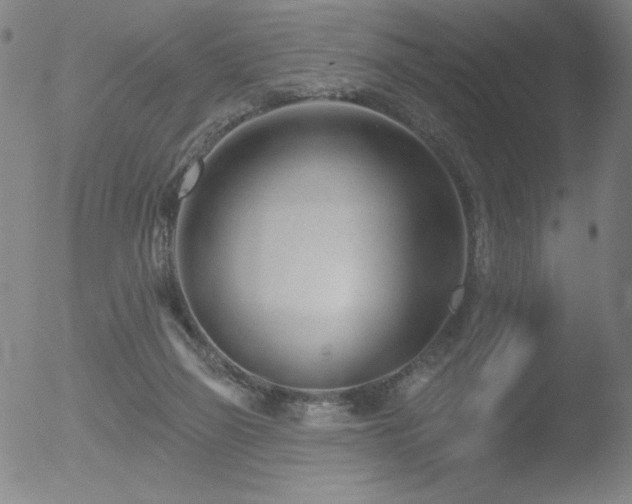 X0000052940165200507081153