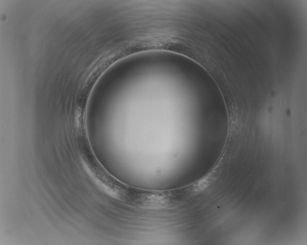 X0000052940166200507081153