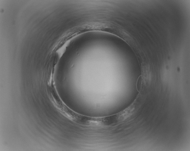 X0000052940167200507081153