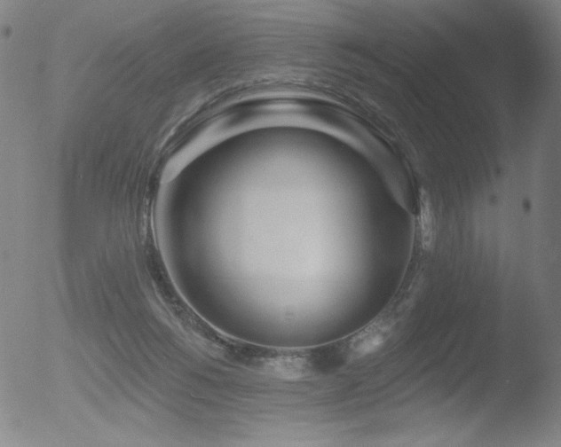 X0000052940168200507081153