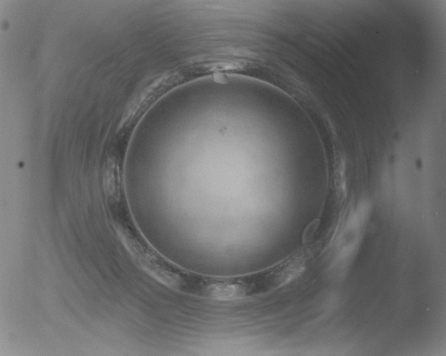 X0000052940169200507081153