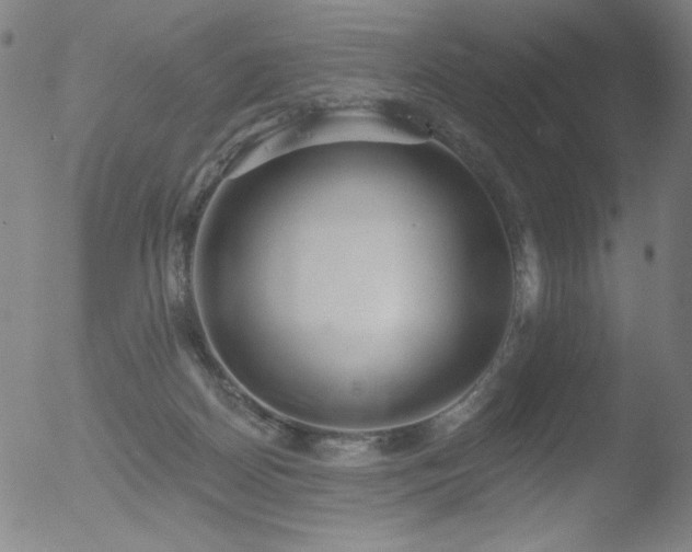 X0000052940170200507081153