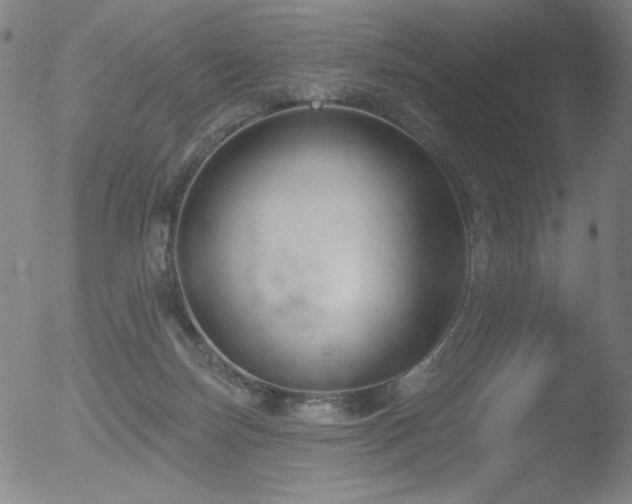 X0000052940171200507081153