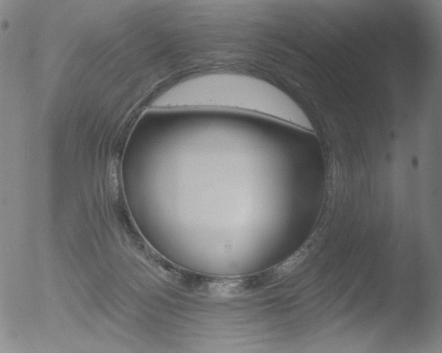 X0000052940172200507081153