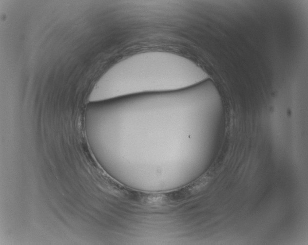 X0000052940173200507081153