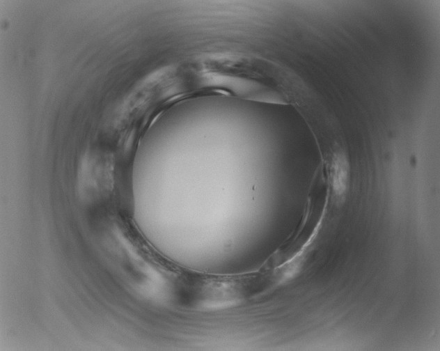 X0000052940174200507081153