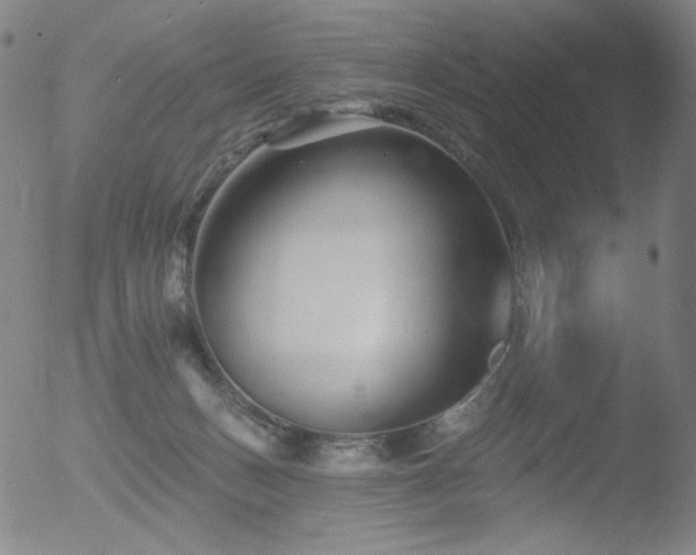 X0000052940175200507081153