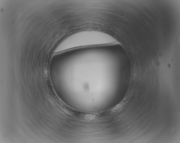 X0000052940176200507081153