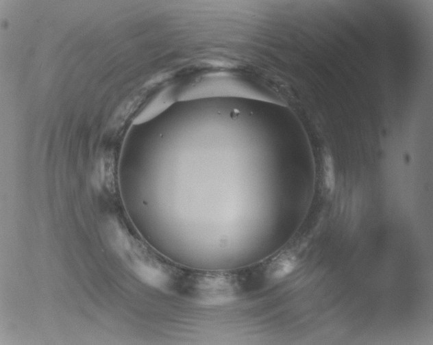 X0000052940177200507081153