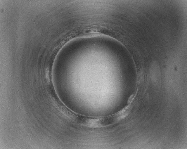 X0000052940178200507081153