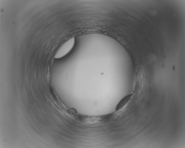 X0000052940179200507081153