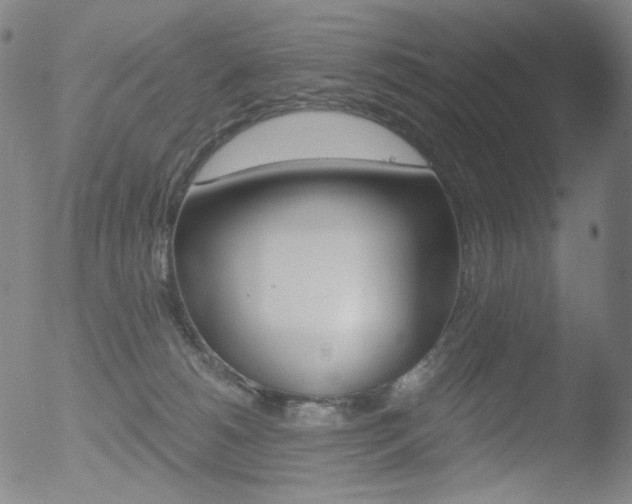 X0000052940180200507081153