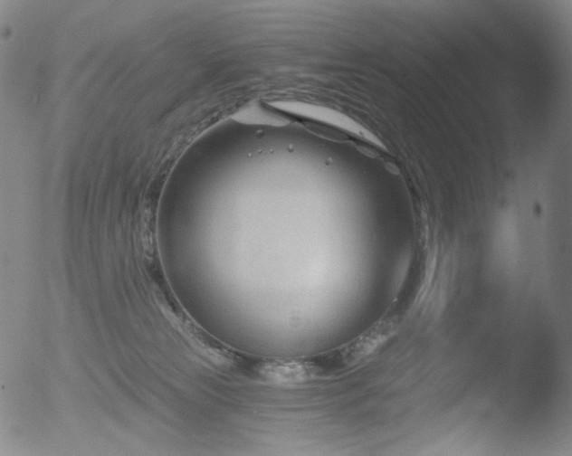 X0000052940181200507081153