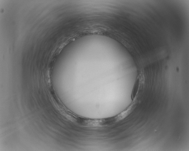 X0000052940182200507081153