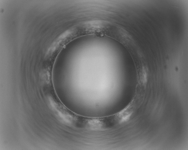 X0000052940183200507081153