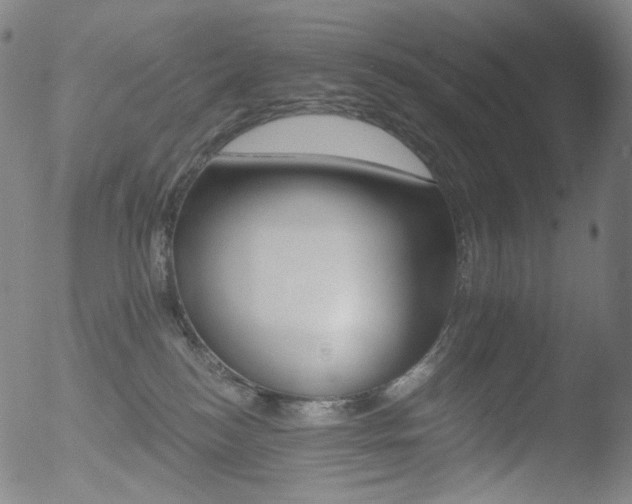 X0000052940184200507081153