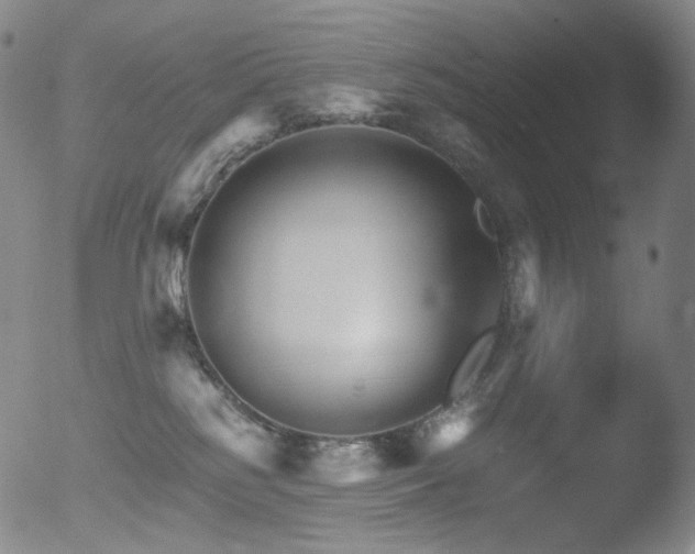 X0000052940185200507081153