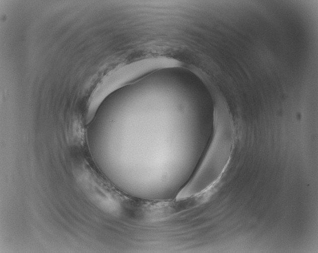 X0000052940186200507081153