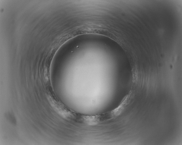 X0000052940187200507081153