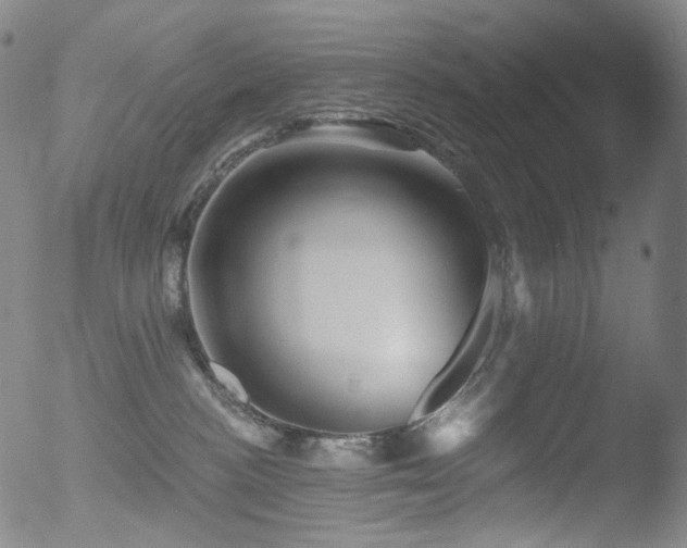 X0000052940188200507081153