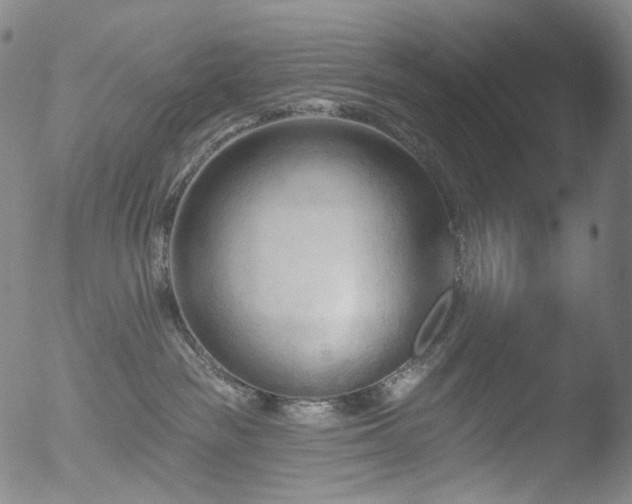 X0000052940189200507081153