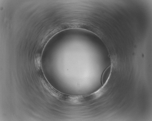 X0000052940190200507081153