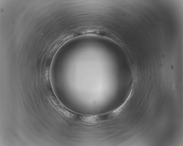 X0000052940191200507081153