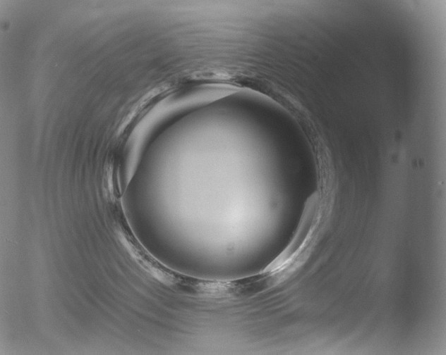 X0000052940192200507081153