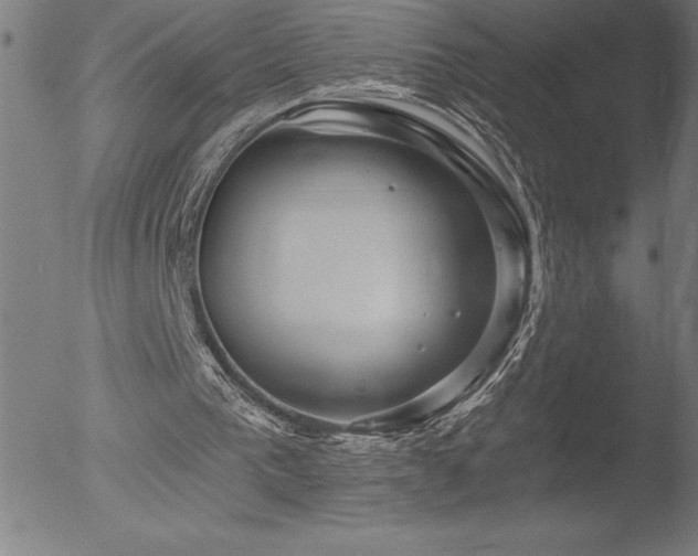 X0000052940193200507081153