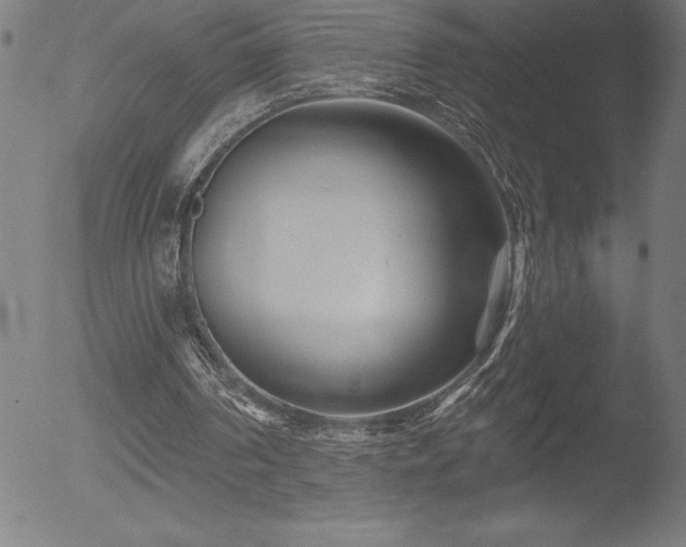 X0000052940194200507081153