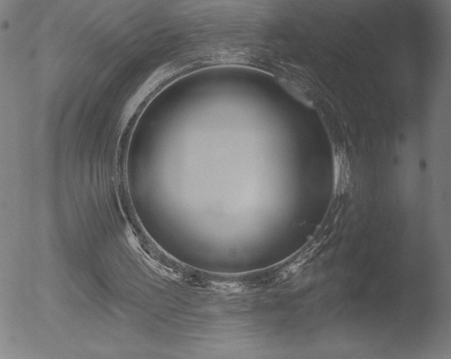 X0000052940195200507081153