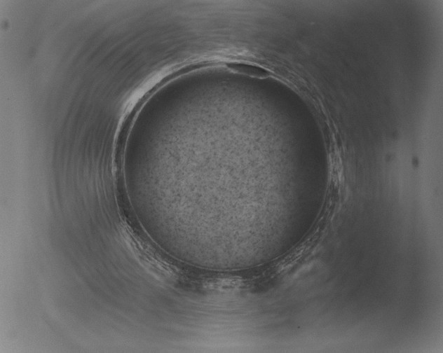 X0000052940196200507081153