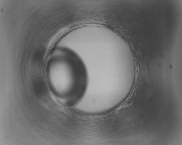 X0000052940197200507081153