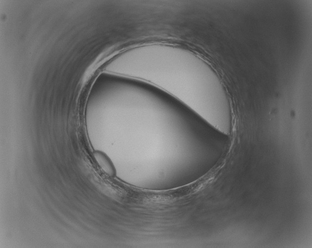 X0000052940198200507081153