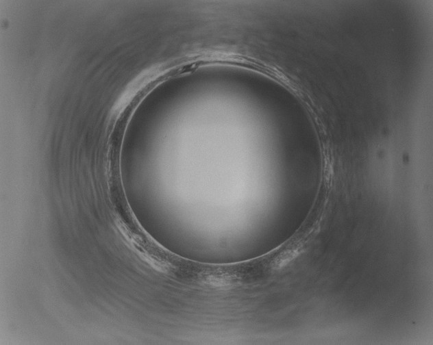 X0000052940199200507081153