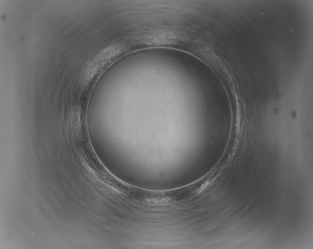 X0000052940202200507081152