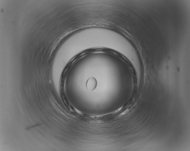 X0000052940203200507081152