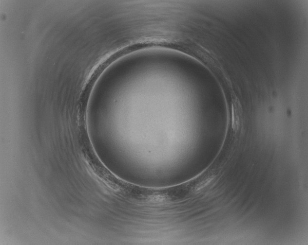 X0000052940204200507081152