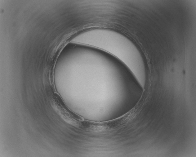 X0000052940205200507081152