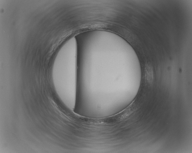 X0000052940206200507081152