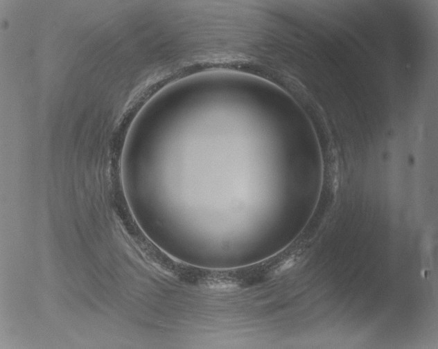 X0000052940207200507081152