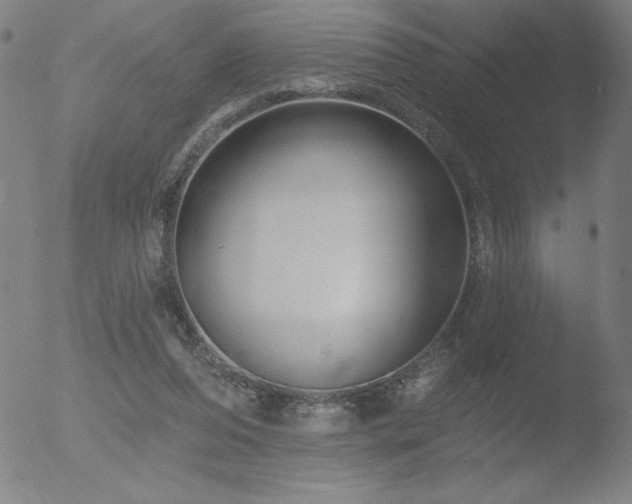 X0000052940208200507081152