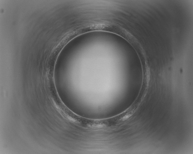 X0000052940209200507081152